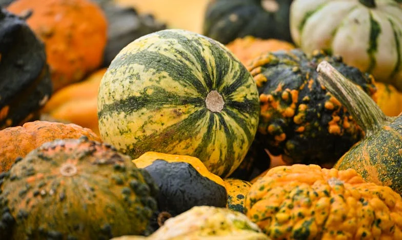 "A családunk felemésztett minket: Hogyan álltunk végre a sarkunkra és találtuk meg a boldogságot" – Egy magyar nő vallomása a Mátrából