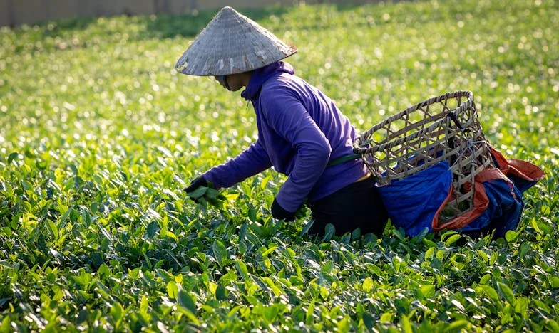 A kulcs, ami mindent megváltoztatott: Amikor a saját otthonodban sem vagy biztonságban