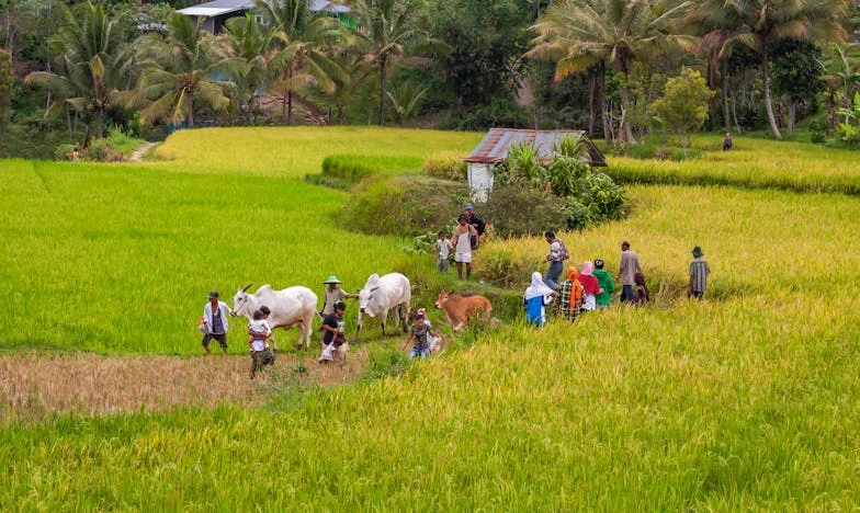 A testvérem, aki többé nem szól hozzám: Egy családi autó, ami mindent megváltoztatott