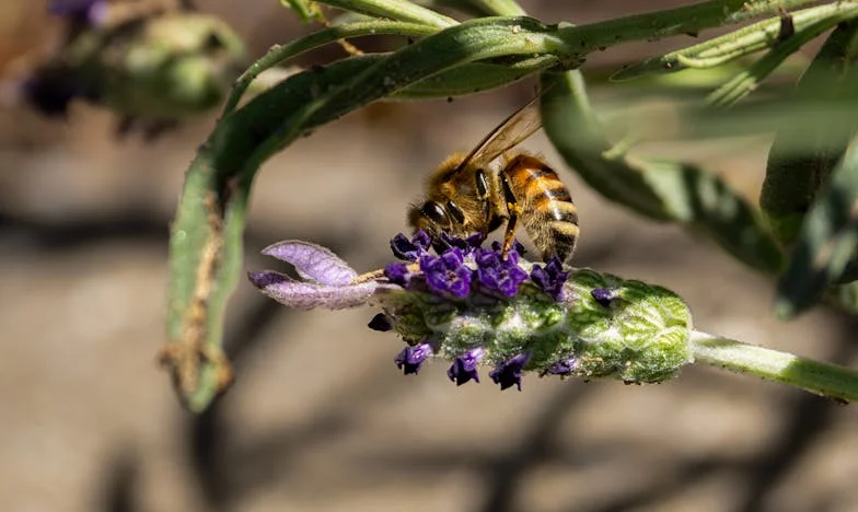 Amikor az élet feltépi a titkokat: Egy özvegy története adósságról, árulásról és váratlan segítségről