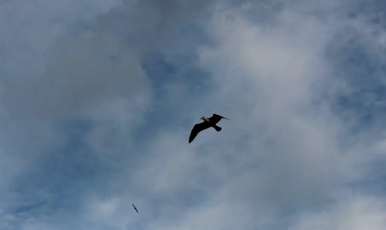 Amikor rájöttem, hogy a fiam nem hall engem – Egy magyar család küzdelme a határokért és megértésért