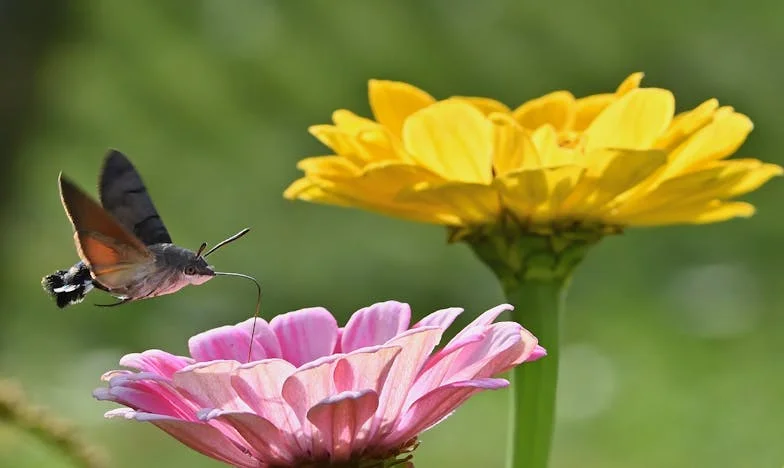 „Anya, mostantól te neveled a fiamat!” – Egy nagymama szívszorító dilemmája