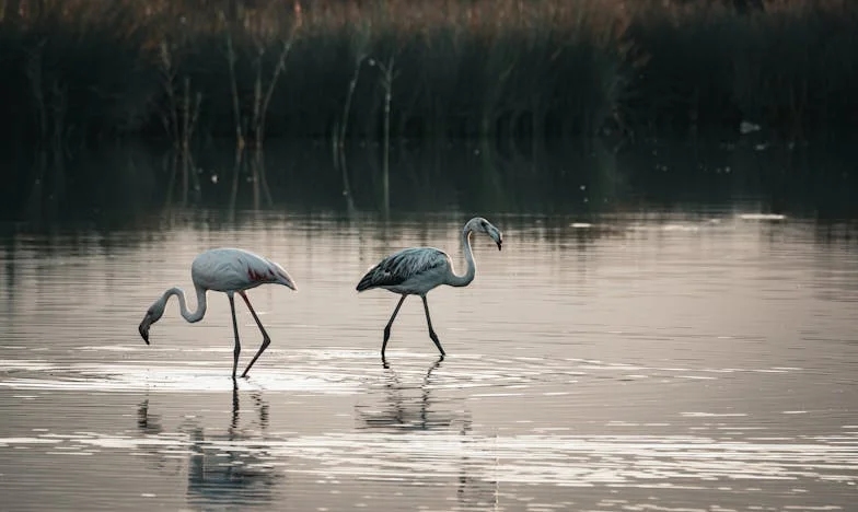 Anyám Igazsága: Amikor a Szeretet Nem Elég – Egy Meny Küzdelme a Családi Elfogadásért