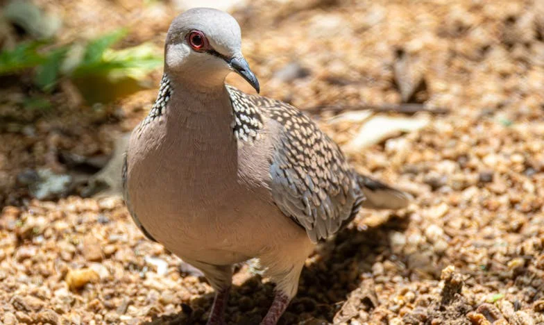 Az ajtó, amely sosem nyílt ki: Egy anya vallomása a csendről és a magányról