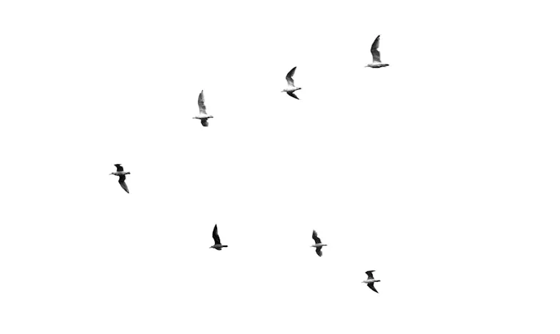 Az igazság pillanata: Egy anya szíve két tűz között – amikor a bizalom meginog a családban