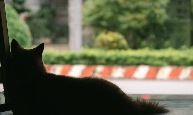 Az unokám rám maradt – egy kórházi éjszaka, ami mindent felforgatott a családunkban