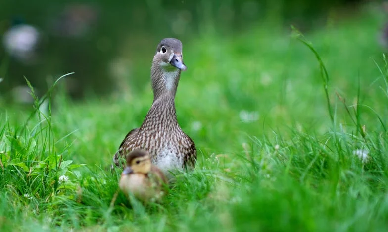 Egy csütörtök esti döntés, ami mindent megváltoztatott: "A szüleim a nagymama házát csak a bátyámnak adják"