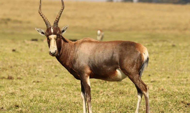Egy hét álmatlanság: Amikor a férjem eltűnt, és minden darabokra hullott