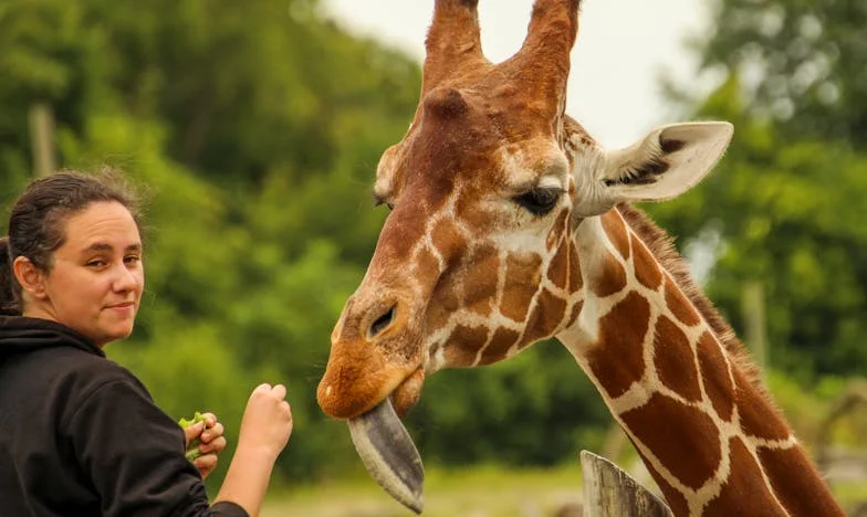 Egy perc késés: Az életem a tábornok anyóssal – avagy hogyan éltem túl Marika néni katonás fegyelmét
