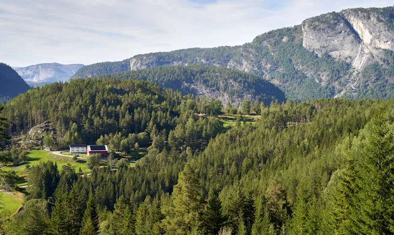 Elvették a jövőt a gyerekeimtől: hogyan rombolta szét az anyósom és a sógornőm a családomat – Zsuzsa története Szegedről