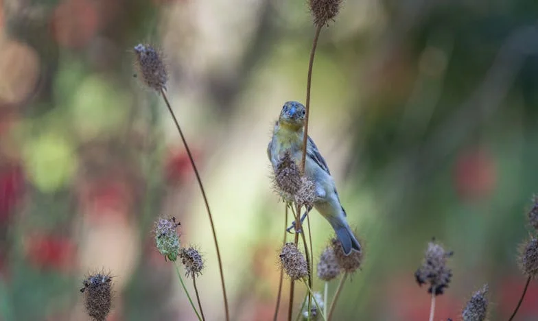 „Fiam felesége csak ül az asztalnál – Vajon tényleg ennyire nehéz egymást megérteni?”