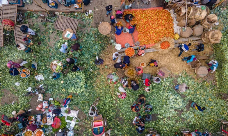 Két kar nélkül, három gyermekkel – Egy apa új élete a tragédia után