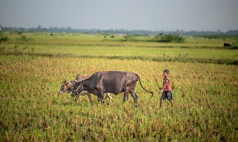 Kórházi ágyon, összetört szívvel: Amikor a betegség mellé az árulás is társult – az én történetem