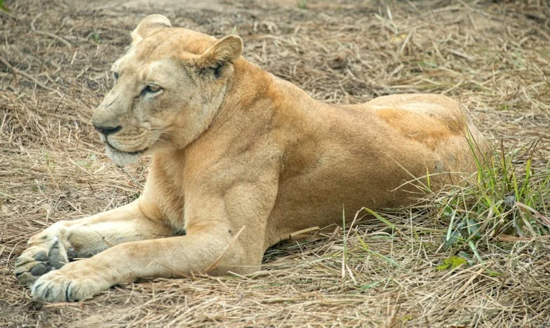 „Zsófi, tudsz segíteni nagypapával?” – Egy hívás, ami mindent megváltoztatott
