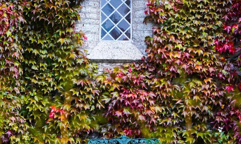 „Add nekem a lakásodat, és megkapod az enyémet” – Egy magyar család titkai és a saját boldogságomért vívott harc