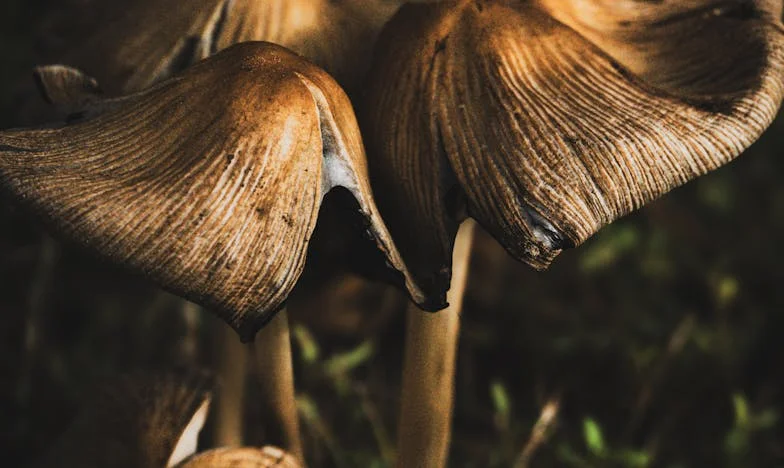 „Adjátok vissza a megtakarításaimat, és a lakást az unokám nevére írom” – Egy döntés, ami szétszakította a családunkat