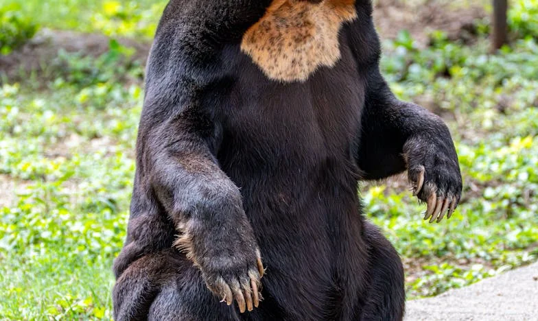 Amikor Gábor belépett az életembe: Egy magyar nő története a szerelemről, önfeladásról és újrakezdésről