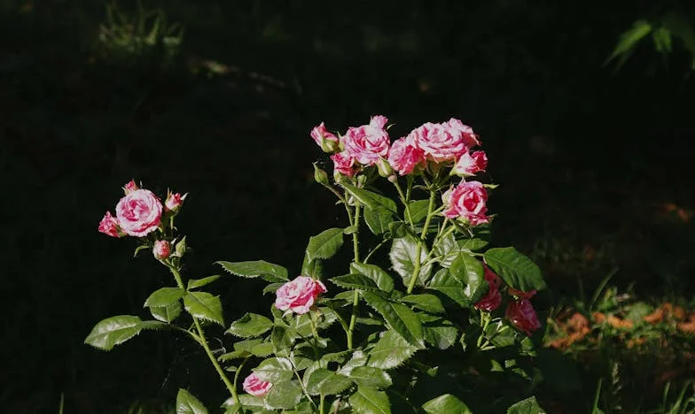 Amikor idegenek kopogtatnak az ajtódon: Egy panelházban átélt félelem, bizalom és határok története