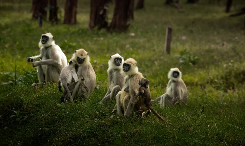 „Anyám, nem akarok visszamenni hozzád!” – Egy kórházi hazatérés, ami mindent felforgatott