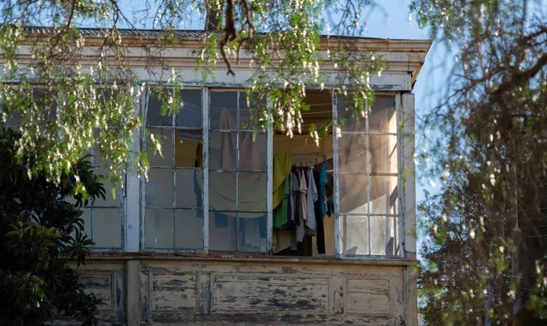 Árulás hegei: Egy magyar család története a bizalom elvesztéséről