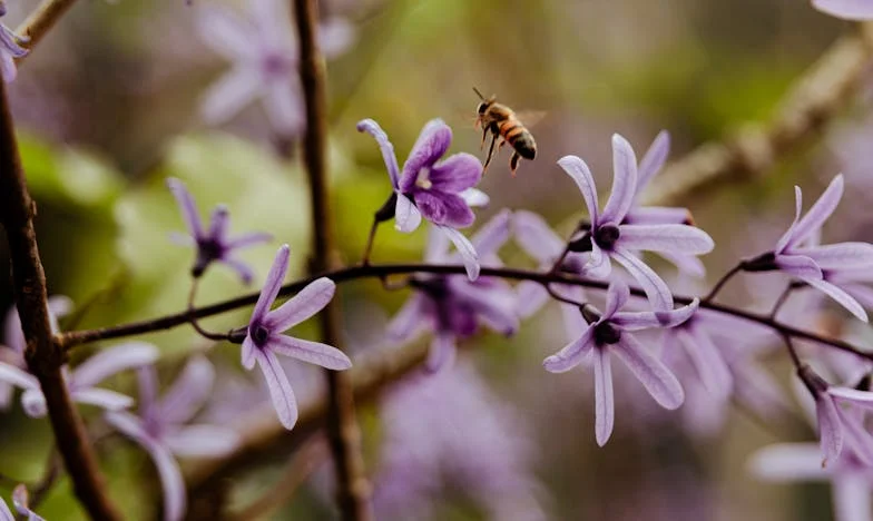 Az a nap, amikor nem voltam szívesen látott vendég: Egy születésnap nagymama nélkül
