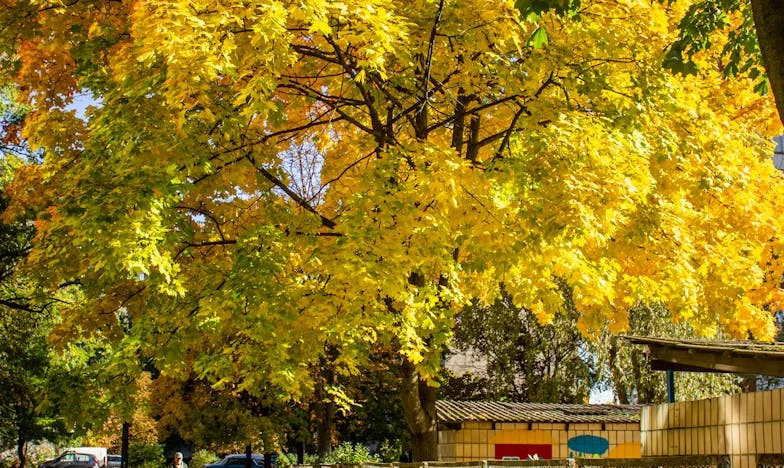 Egy gyerek a sínek mellett: Az igazság, ami összetör és összeköt