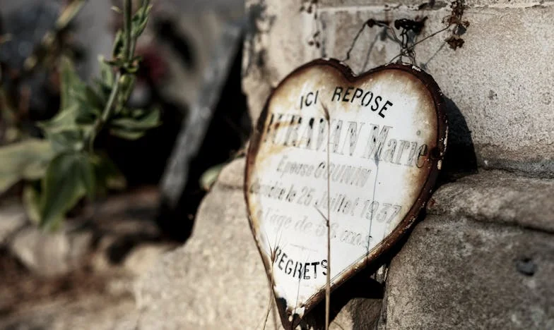 Egy tető alatt: Harc a nagymamámért és az igazságért – Egy családi vihar közepén