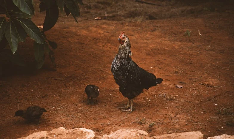 „Ha szeretsz, mondj fel!” – Amikor a férjem nem bírja elviselni a sikereimet