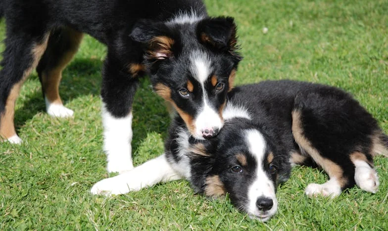 Harminc év menyasszonyként: Az igazság, amit csak anyósom halála után tudtam meg