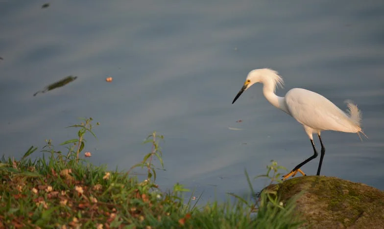 Hogyan álltam ki magamért a határtalan anyósommal szemben – Egy családi titkokkal teli történet bátorságról és újrakezdésről