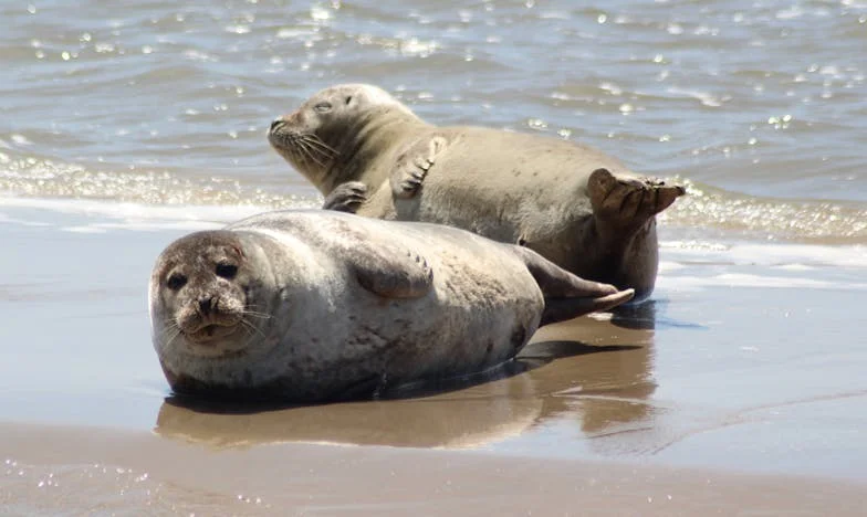 Két hűtő a konyhában – Vajon tényleg ennyire eltávolodtunk egymástól?