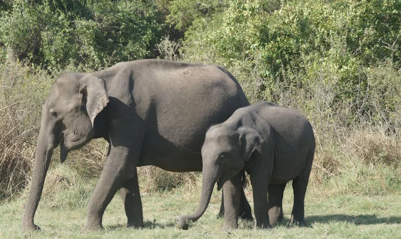 „Mondtam Marikának, hogy többé nem lehetek a kisinas: Az igazság, amit túl sokáig hallgattam el”