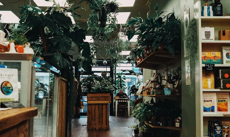 „Nekik villa, nekünk hitel” – Az én harcom az otthonért és a családért a gazdag apósék árnyékában