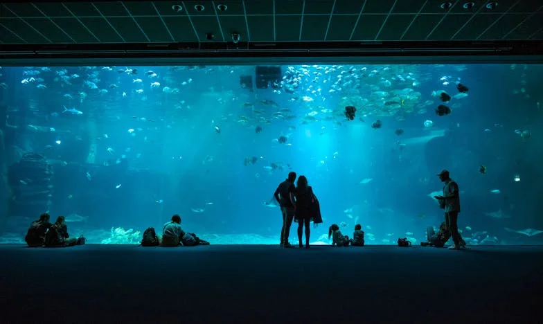 Nyolc hónap a szorításban: Tényleg csak egy pénztárca vagyok a szüleimnek?