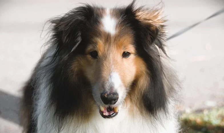 Öt év után: Az anyai szeretet keserű íze – Egy budapesti anya vallomása