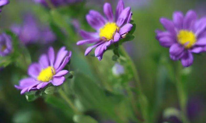 Túl korán felnőttem: A családomért vívott harcom, amit senki sem akart megérteni