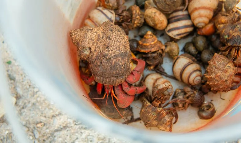 Újév, új élet: Hogyan omlott össze a házasságom 35 év után egyetlen éjszaka alatt