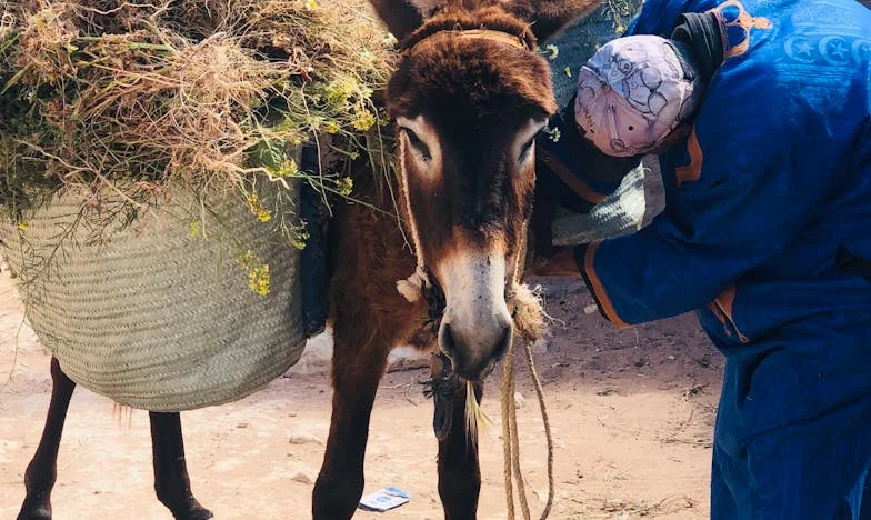 A férjem első osztályon utazott az anyjával, minket hátrahagyott – Egy magyar család története büszkeségről, fájdalomról és változásról