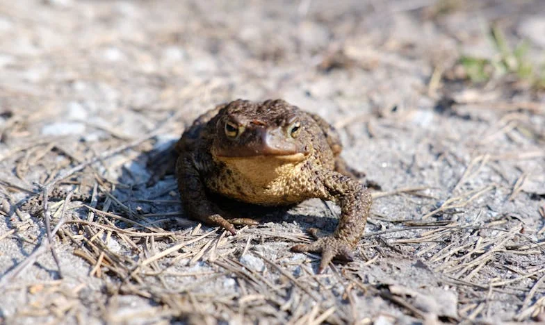 A férjem hirtelen haragja miatt megszakadt a kapcsolatom a családommal – Mit tegyek most?