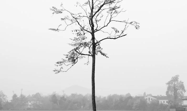 A férjem nagynénje mindent elvár – meddig tűrjem még?
