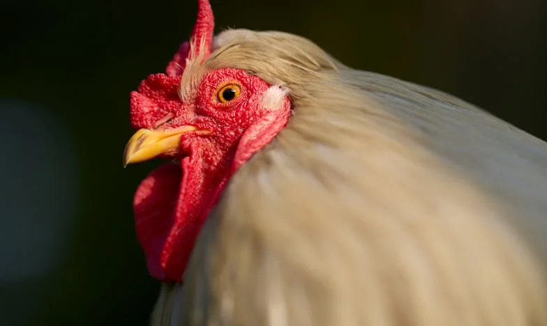 A fiam adósságcsapdában – Egy anya harca a szeretet és a tehetetlenség között