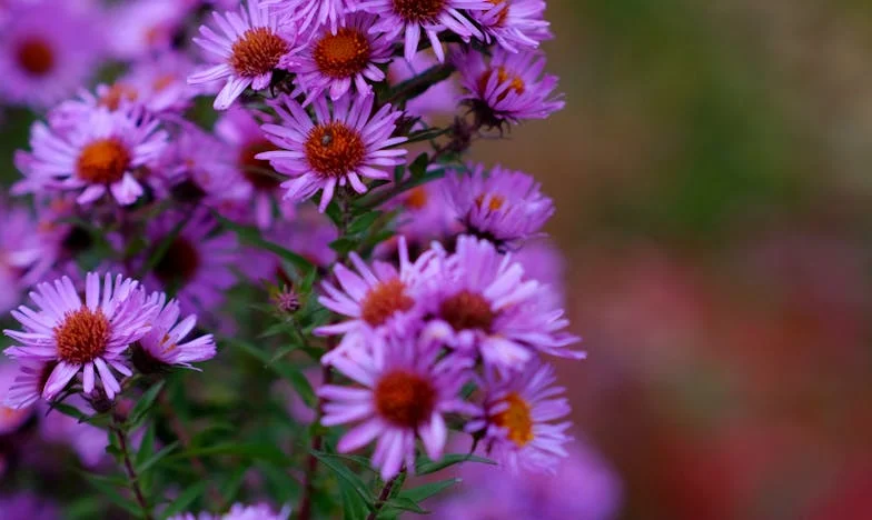 „A te szüleid sosem segítenek, mint az enyéim” – Egy mondat, ami szétszakította a családomat