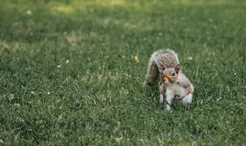 A testvérem autóját a nevemre írtam – most mindenem ráment