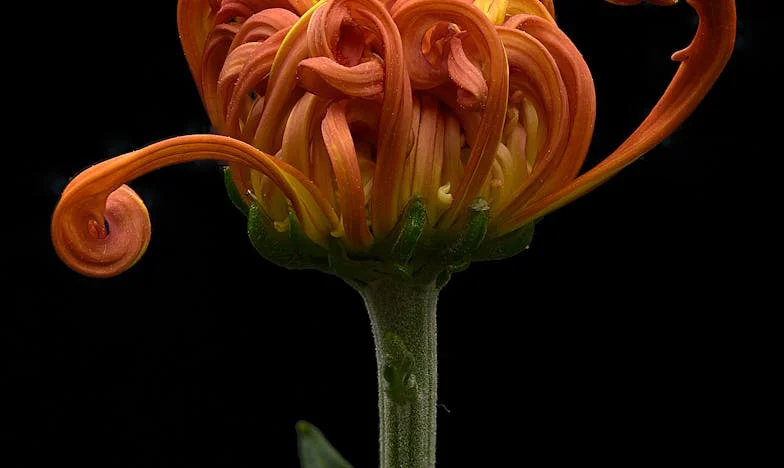 Amikor a szívem darabokra hullott: Az én történetem kisfiunk, Marci elvesztéséről