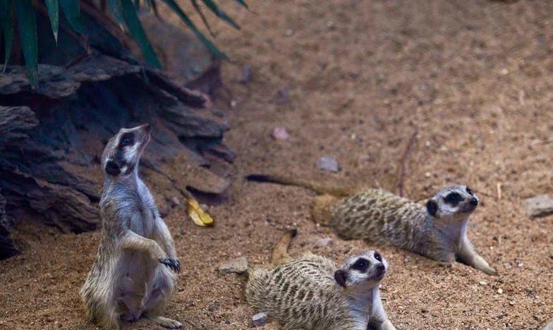 Anyai csend: Egy titok, ami majdnem szétszakította a családomat