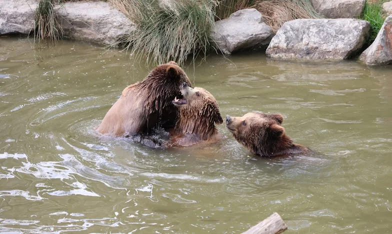 Az anyósom árnyékában: Amikor a bizalom meginog – Egy friss anyuka vallomása