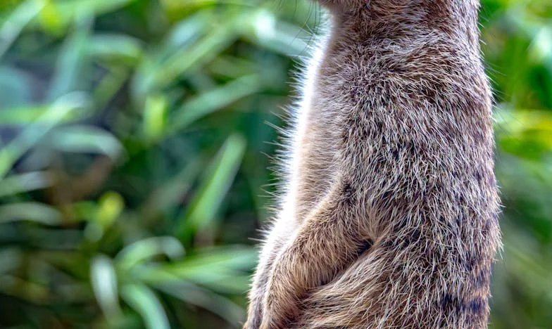 Az anyósom titka: Egy ház, ami sosem volt az övé – és az én harcom a családi igazságért