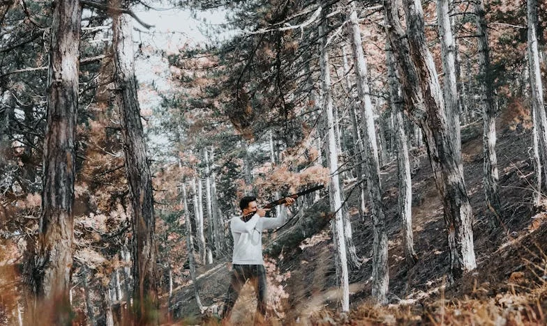 Az örökség, ami szétszakította a családomat – Egy budapesti lakás története Zsuzsa szemével