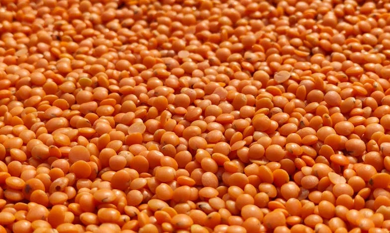 „Csak ideiglenes lesz” – Három év az életem árnyékában: amikor a nagyszülői segítség mindent felemészt