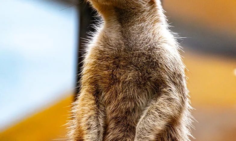 Hol vagy, anya? – Egy magyar család széthullása és újjászületése egyetlen éjszaka alatt